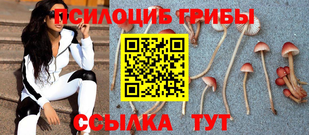 Энгельс  Псилоцибиновые грибы Psilocybe  хочу   Вход с VPN  Галлюциногенные грибы Psilocybine cubensis 